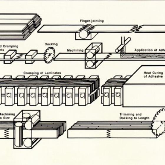 A diagram showing the manufacturing process  for glulam 
