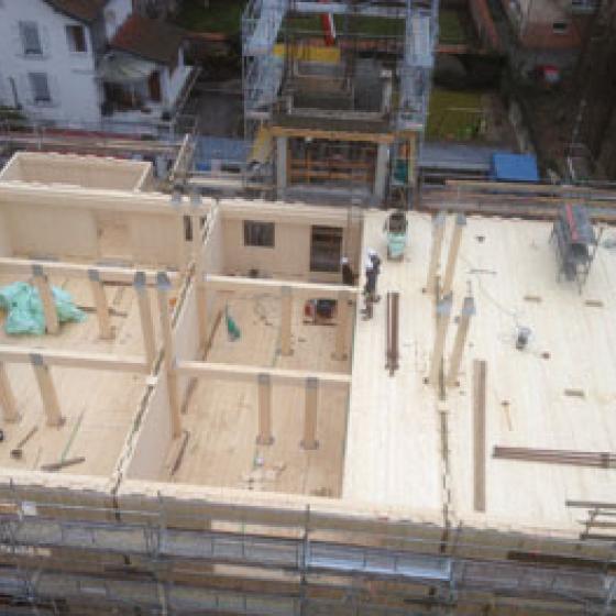 Construction of the CLT 8 storey apartments