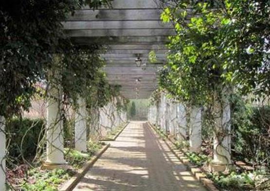 a walkway with white pillars and green plants