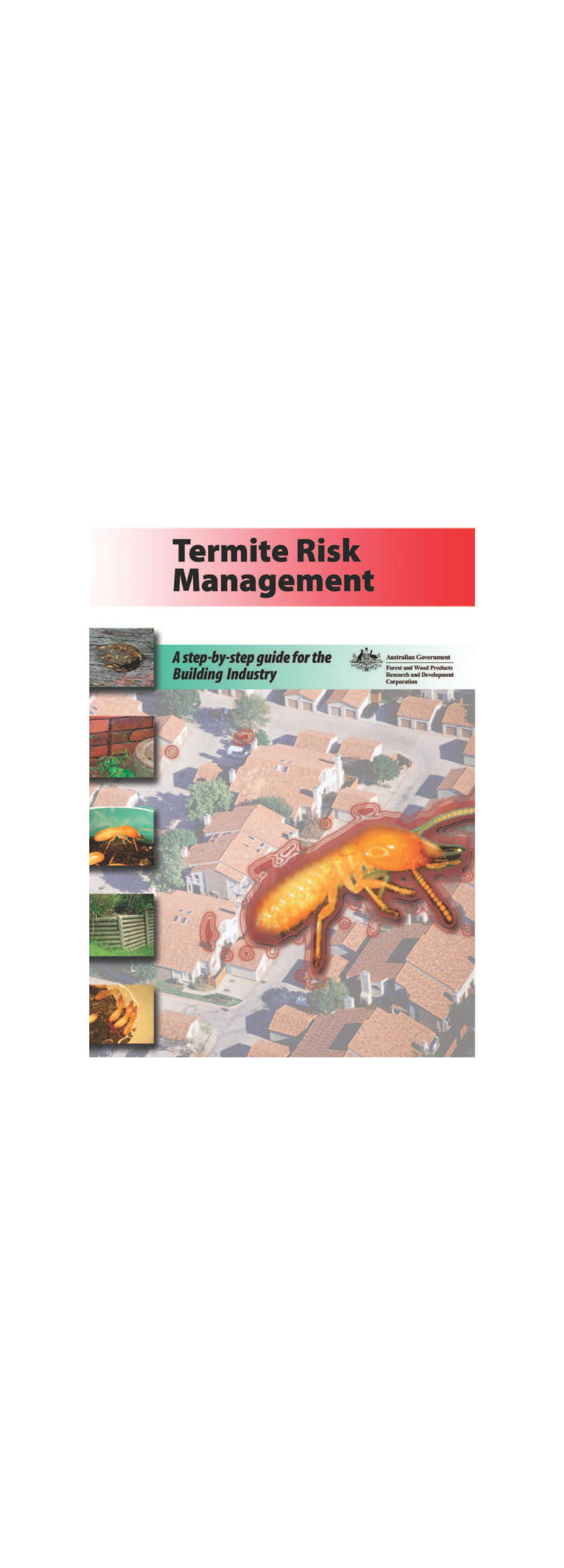 termite risk management