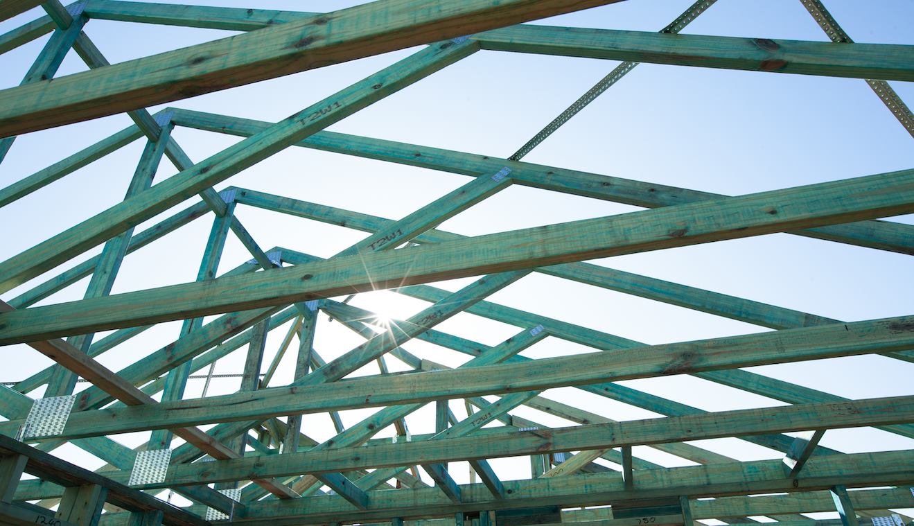 Treated renewable timber framing at sunrise