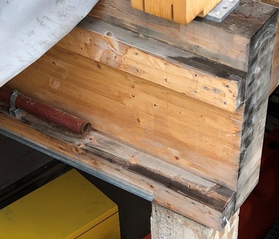 Mould on timber beam 