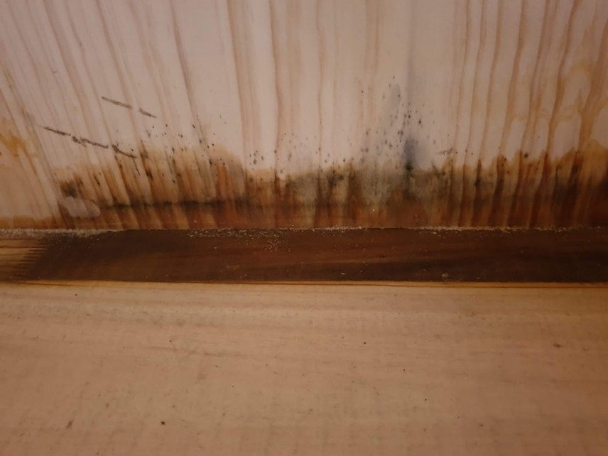 Water is sucked up through the end grain of timber 