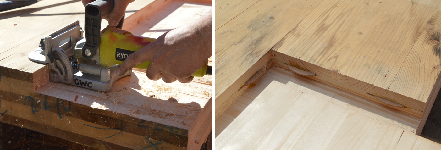 Biscuit joint to the original timber 
