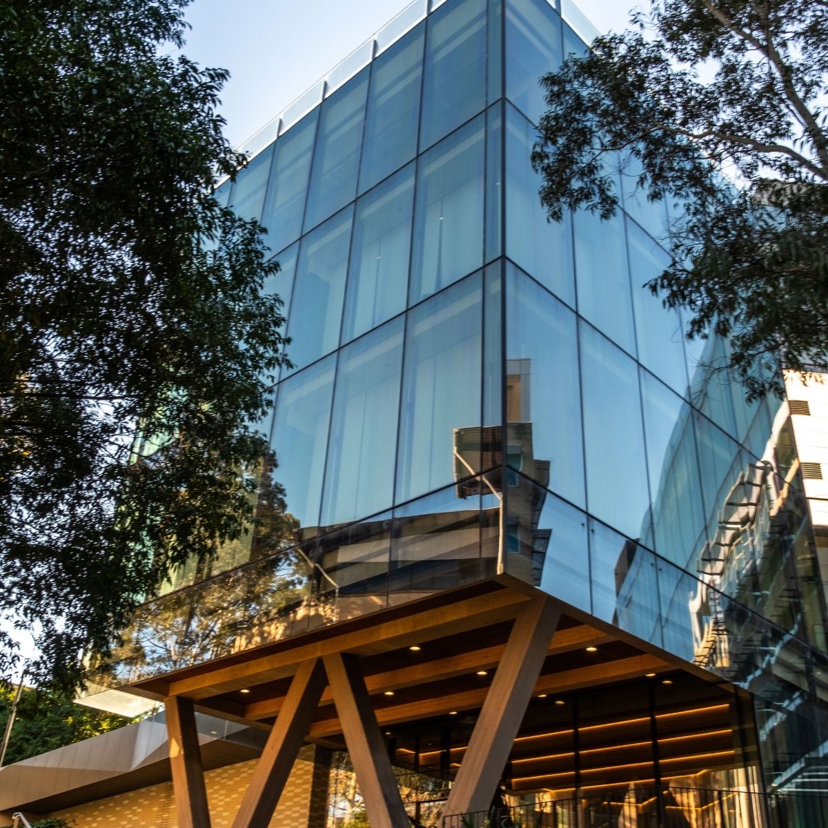 Macquarie University Ainsworth Building glass and glulam column exterior