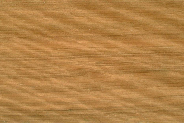 a close-up of a wood grain