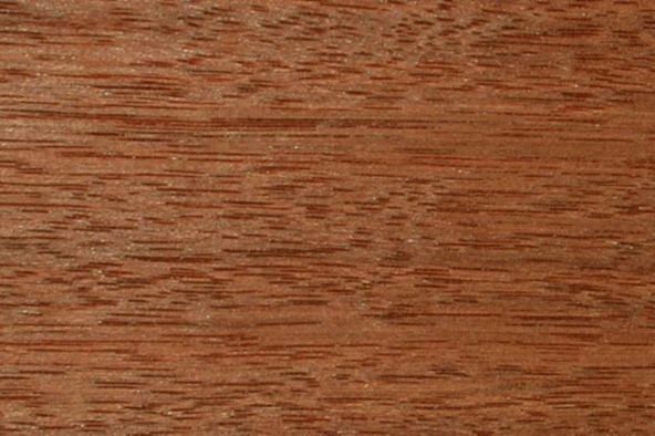 a close-up of a wood grain