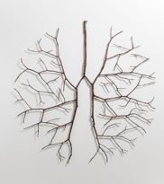 WOOD art design architecture image 4