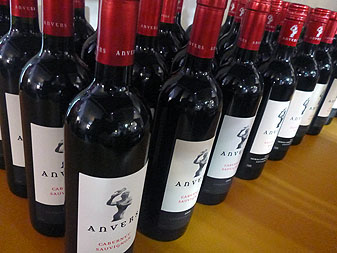 Adelaide one:one 2014 14