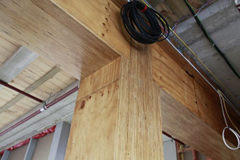 WS Blog 2 NZ Chris Philpot 12