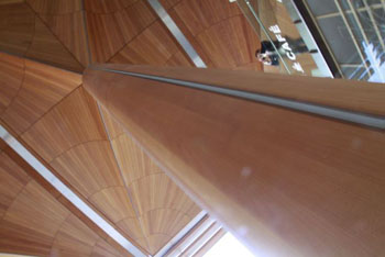 WS Blog NZ Chris Philpot 3