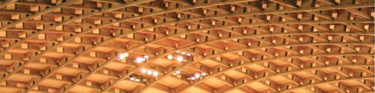CSAW gridshell roof