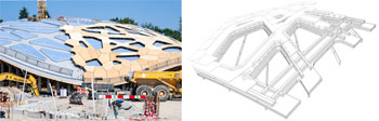 The complex roof geometry