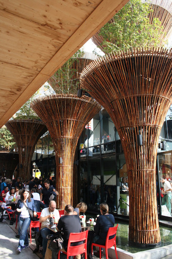 bamboo pillars