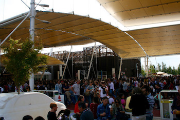crowd