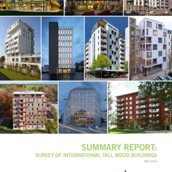 Tall Timber Report Cover