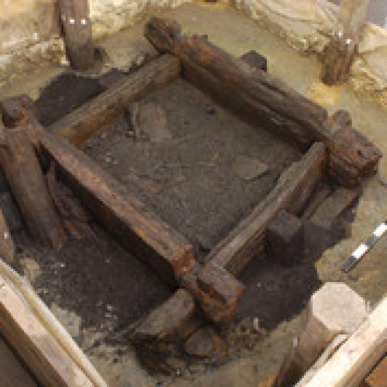 Log construction of the 7000-year-old well of Altscherbitz near Leipzig during the excavation. 
