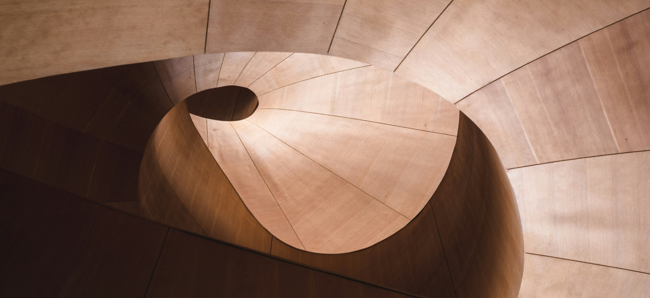 Looking up into timber spiral