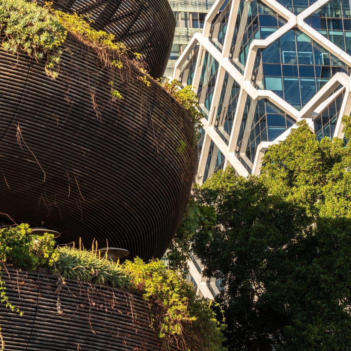 Barangaroo House - exterior detail