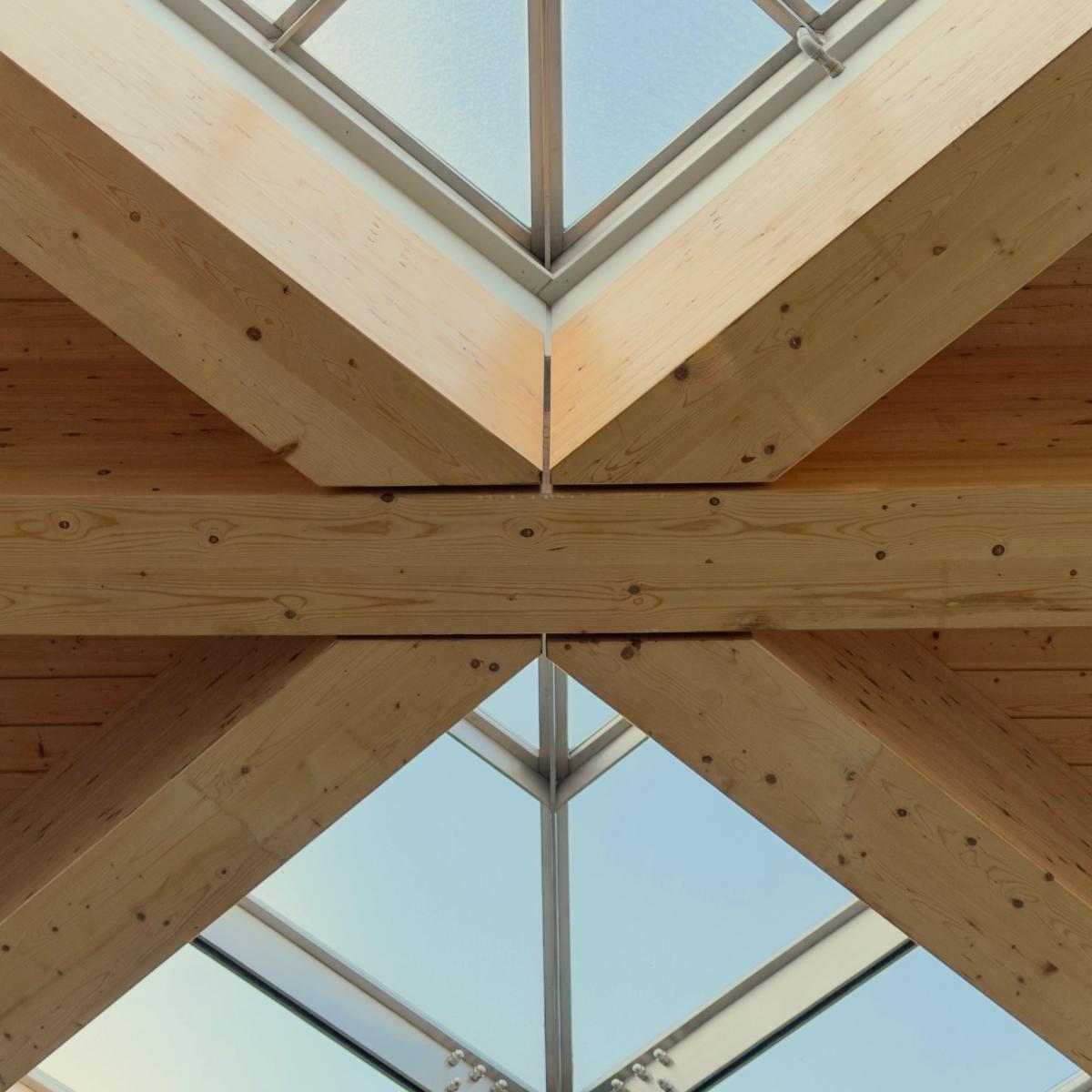 The glulam diagrid canopy of Melbourne's Anzac Station