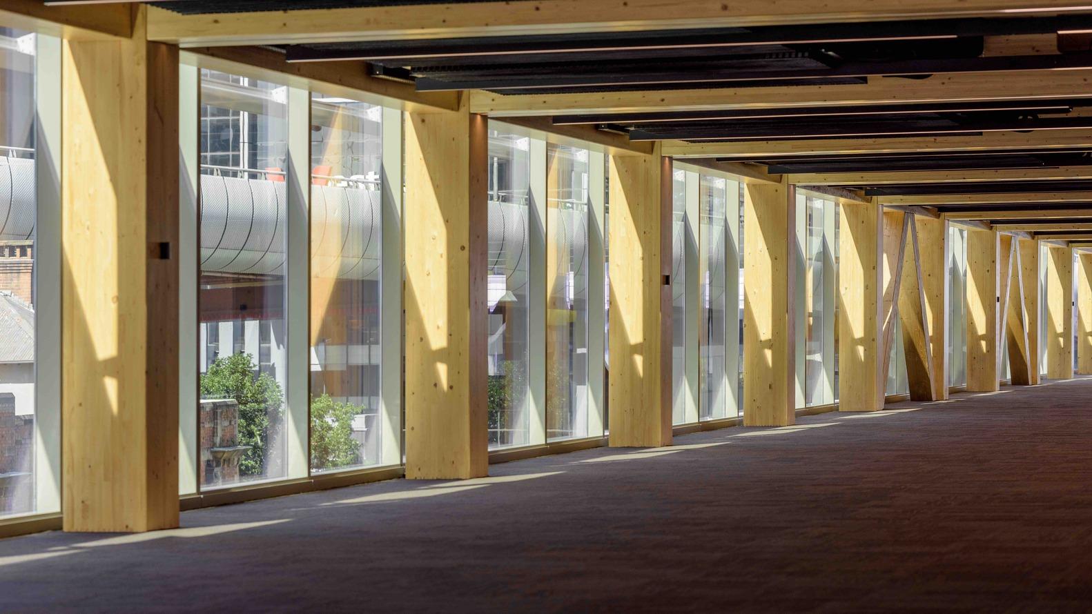 interior view of glulam and CLT components at Sydney's International House