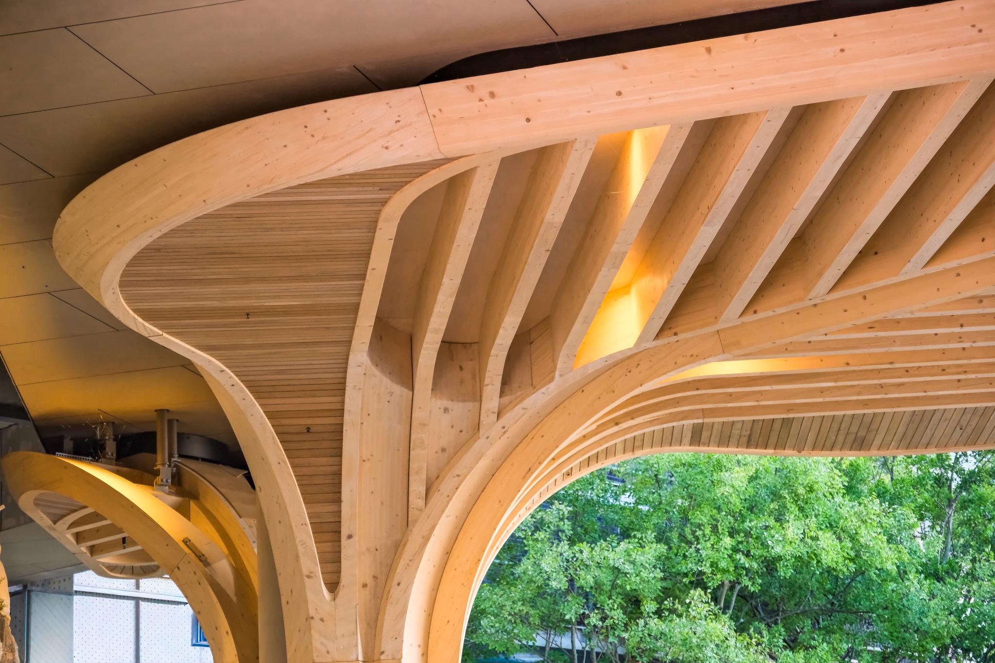 The Cutaway, Barangaroo Reserve - ceiling feature