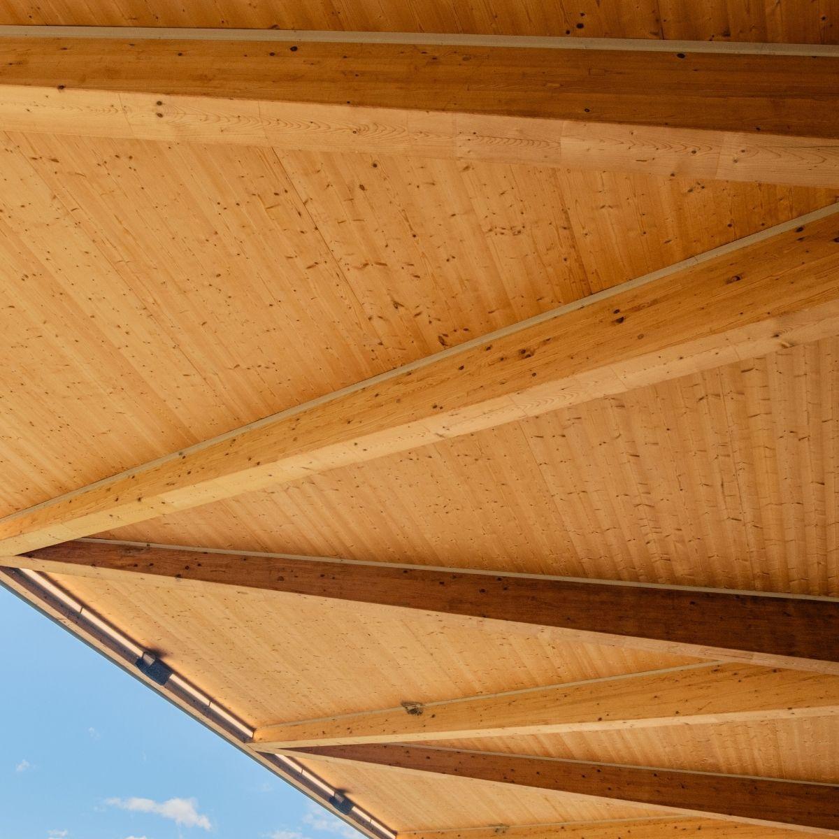 Eric Tweedale Stadium at Granville Park - roof detail