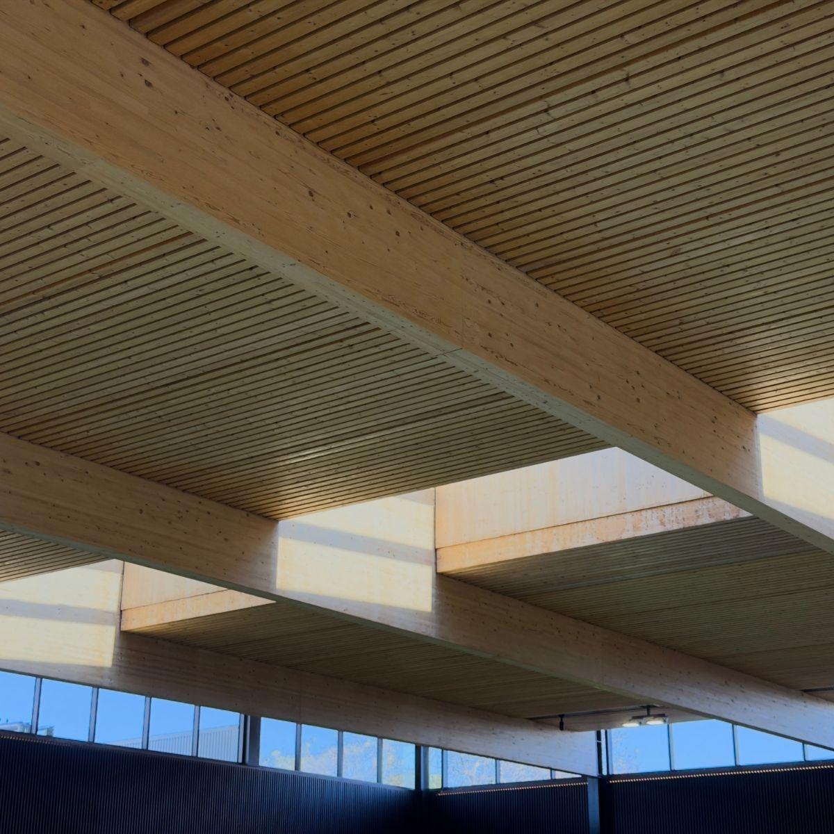 Northcote Aquatic Centre ceiling detail