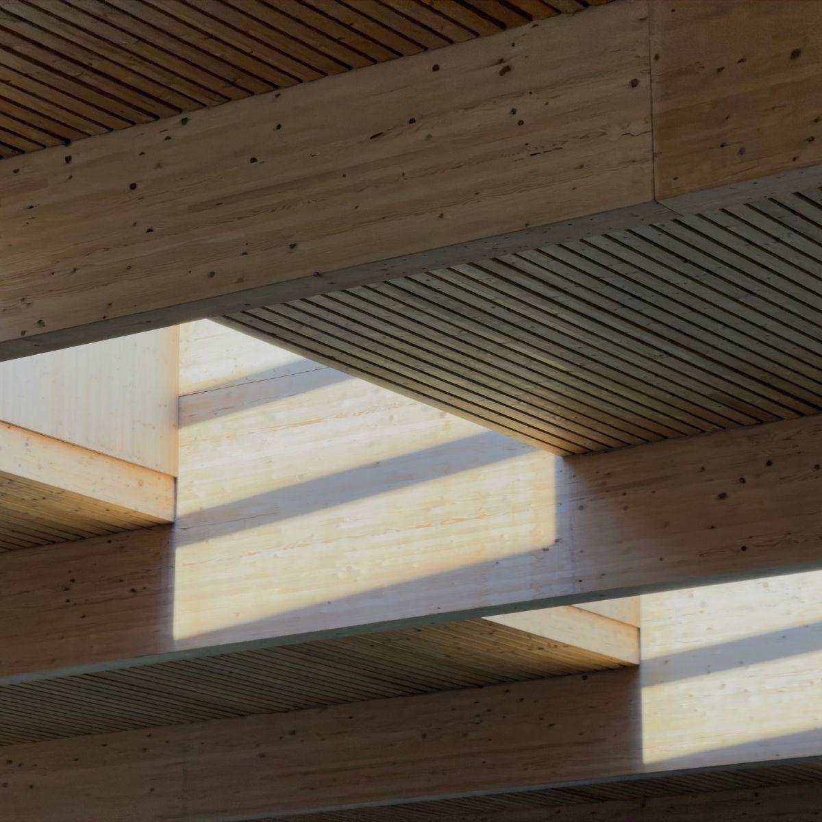 Northcote Aquatic Centre ceiling detail with sunlight