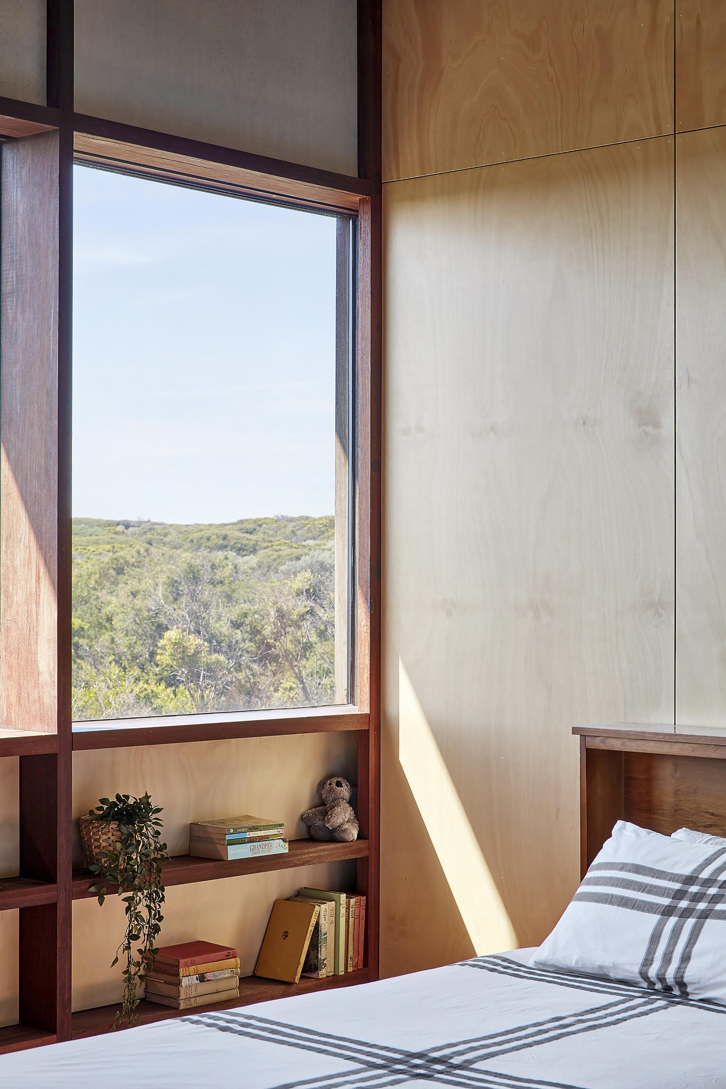 a window with a view of a forest