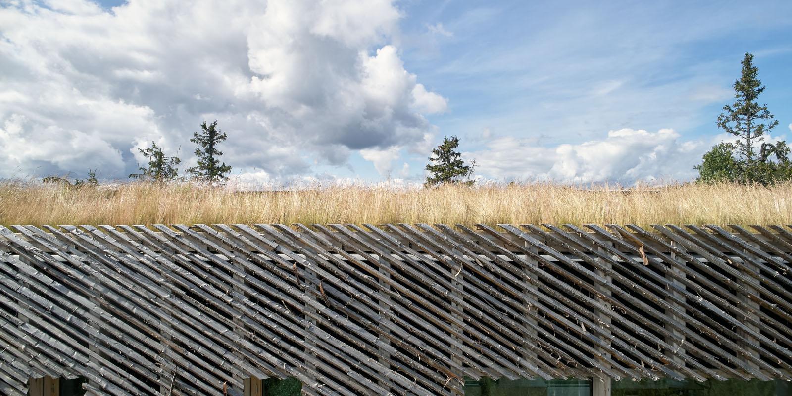 a wooden structure with grass on top