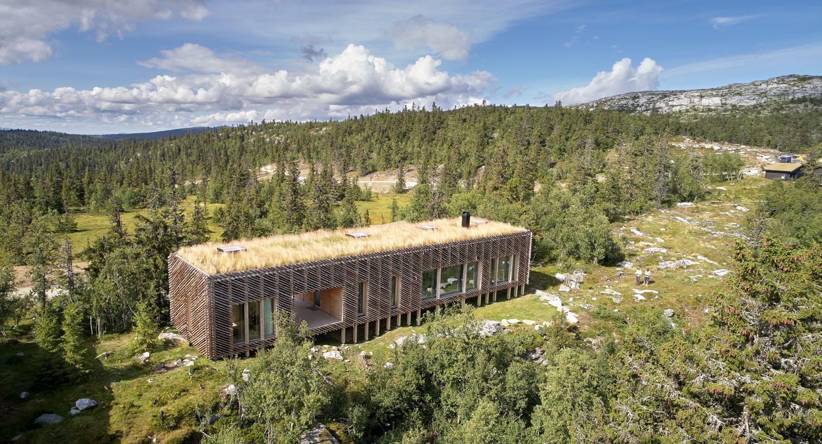 a building with grass on the roof surrounded by trees