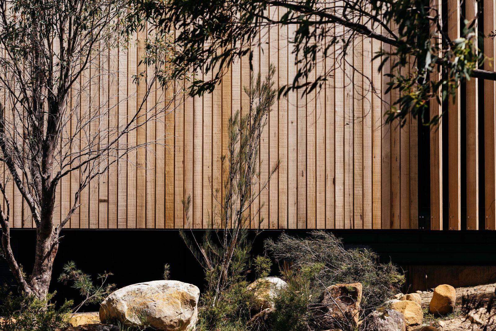 a wood wall with trees and rocks