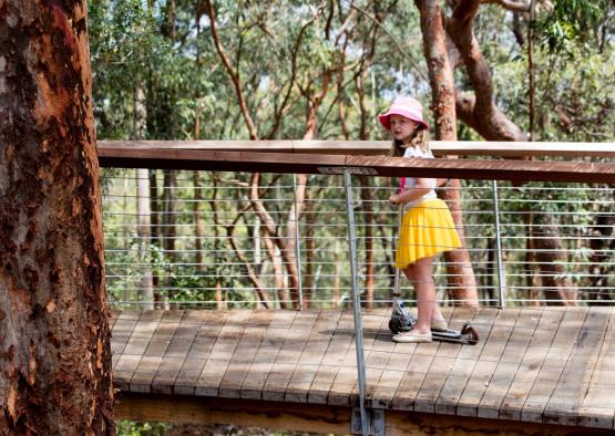 a girl standing on a wooden bridge with a scooter