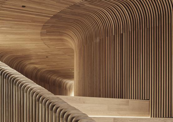 a wooden structure with curved lines