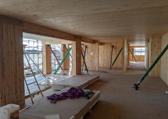 a room with scaffolding and ladders