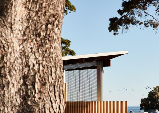 a tree next to a building