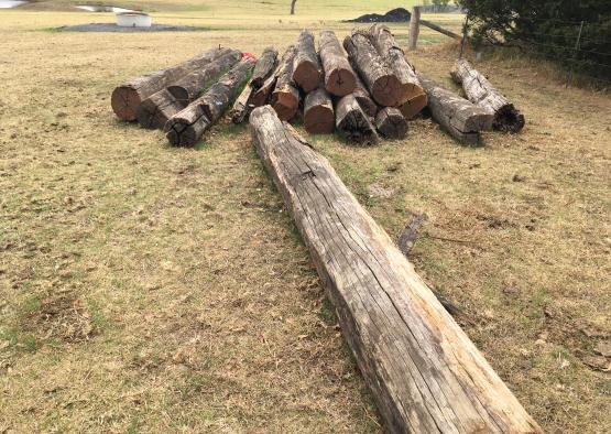 a pile of logs in a field
