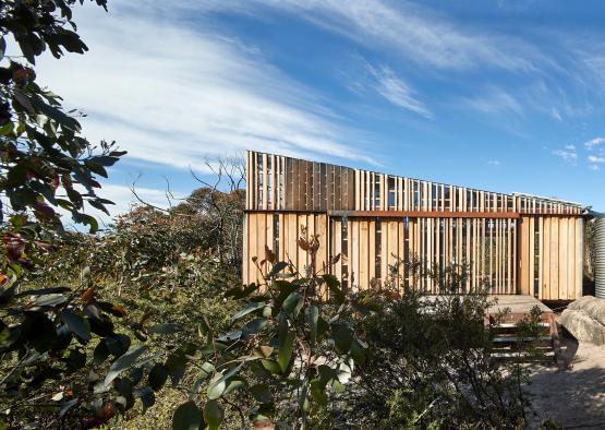 a building with a wood structure in the middle of a forest