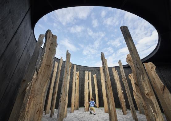 a child standing in a circle of wood