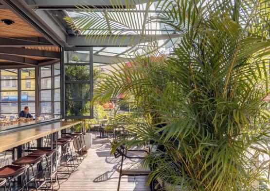 a patio with a palm tree and chairs