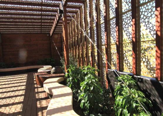 a wooden patio with plants and a wooden deck