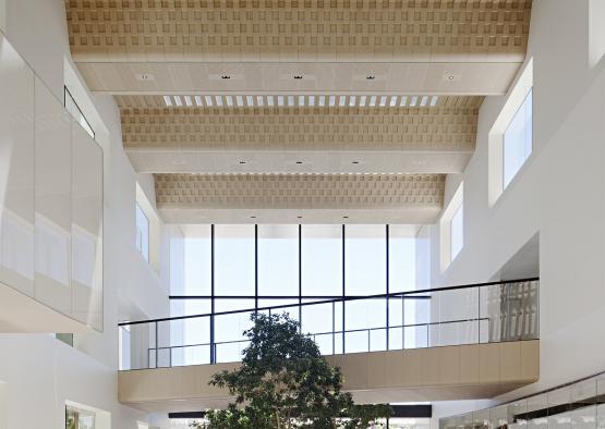 a building with a tree and glass walls