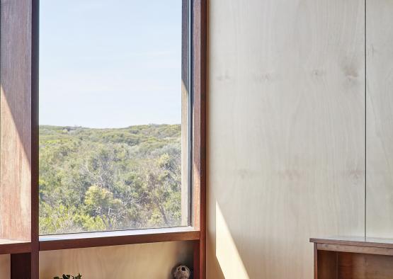 a window with a view of a forest