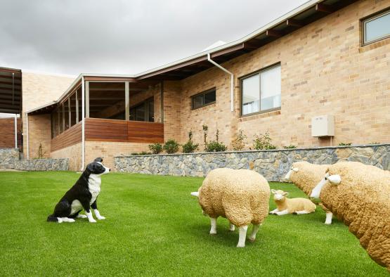 a dog and sheep in a yard