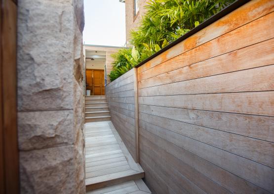 a wood wall with a staircase and plants