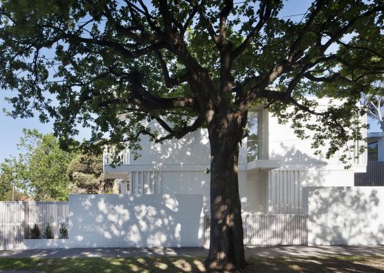 a tree in front of a white building