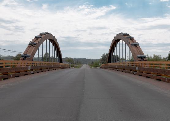 a bridge with two arches