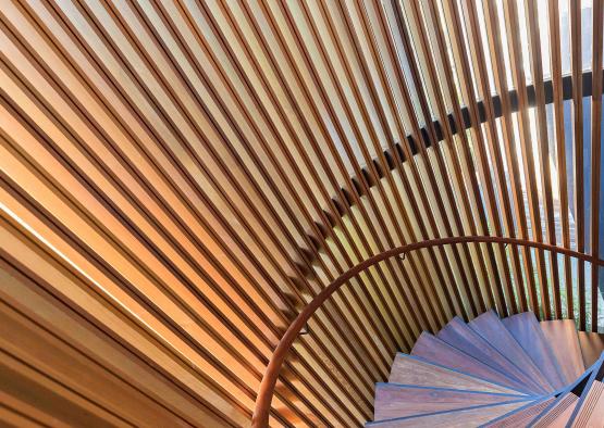 a spiral staircase with a glass roof