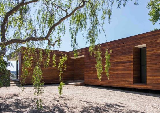 a tree with green leaves from the outside of a building